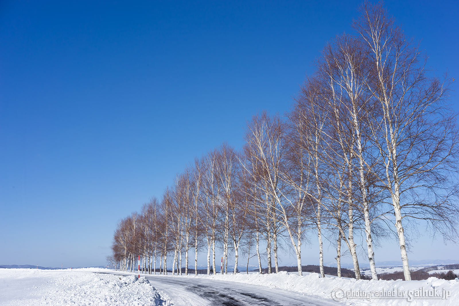 寒いからこそ価値がある 冬の美瑛の魅力を紹介 北海道へ行こう