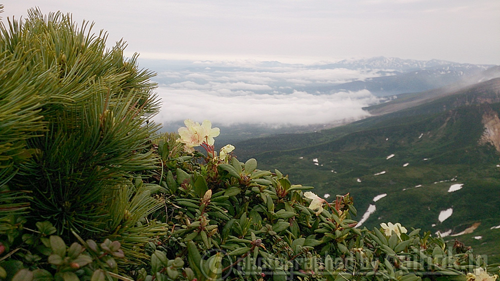 日本百名山の北海道「十勝岳」の山開き！登山に挑戦