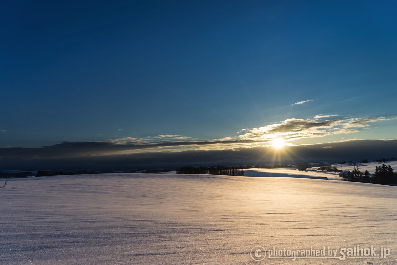 絶景に感動 北海道美瑛 びえい の冬の観光スポットへgo 北海道へ行こう