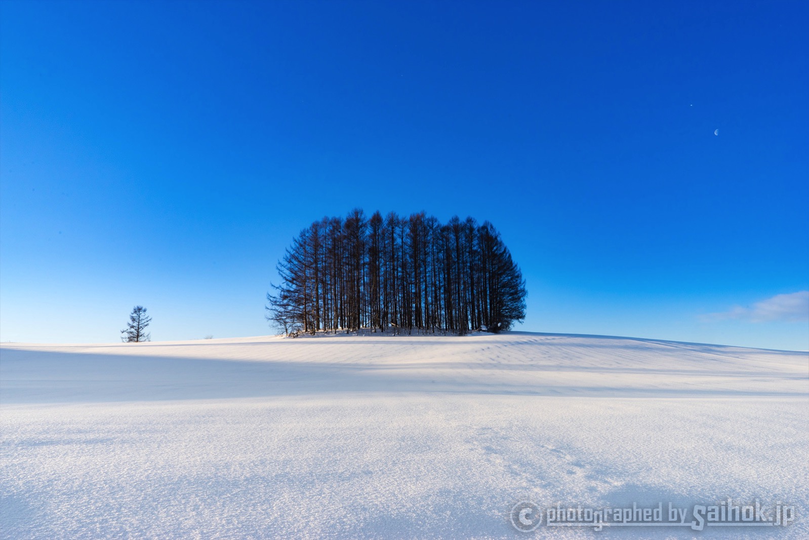 絶景に感動！北海道美瑛（びえい）の冬の観光スポットへGO！