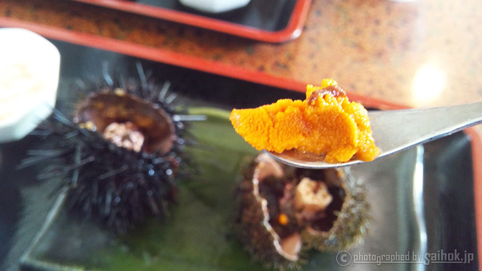 ごはんが見えない 贅沢うに丼なら積丹半島のお食事処みさき 北海道へ行こう