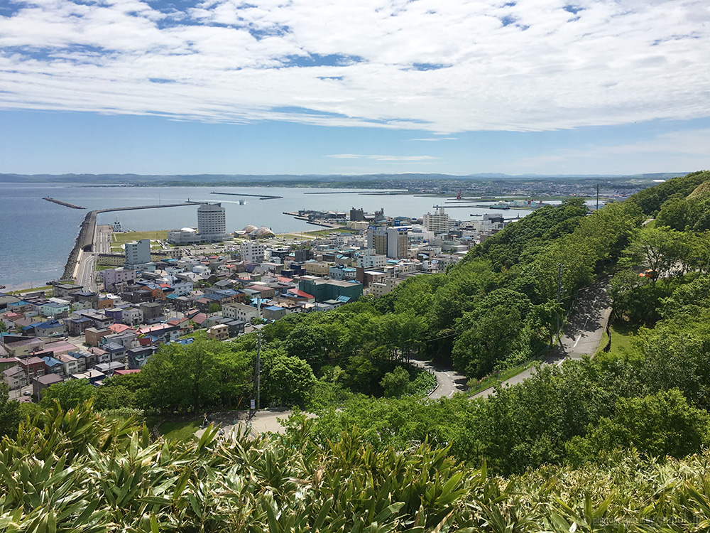 7月が見ごろ♪花が満開の富良野岳日帰り登山