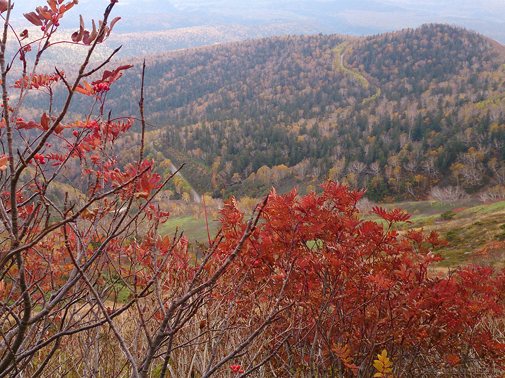 9月の紅葉時期は山で渋滞！？大雪山（赤岳銀泉台）のトレッキング登山