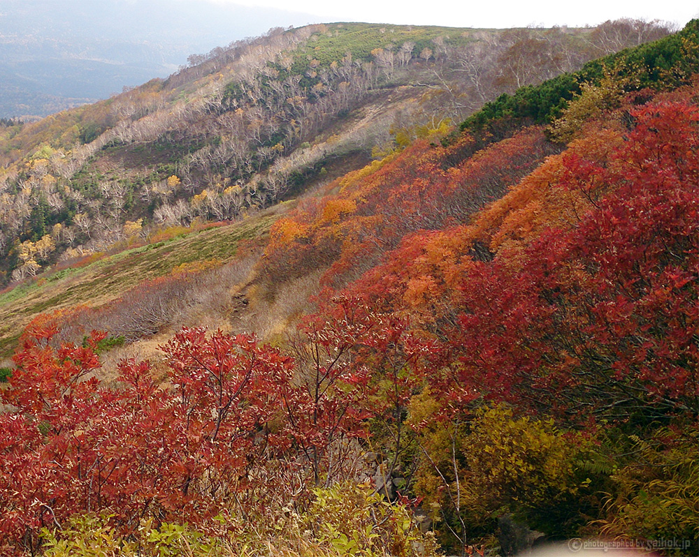 9月の紅葉時期は山で渋滞 大雪山 赤岳銀泉台 のトレッキング登山 北海道へ行こう