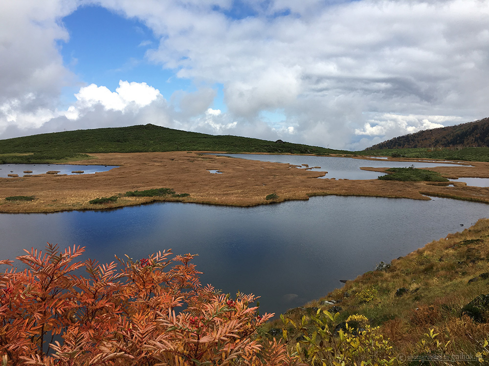 大雪山の紅葉登山・ハイキング（愛山渓温泉～沼の平）