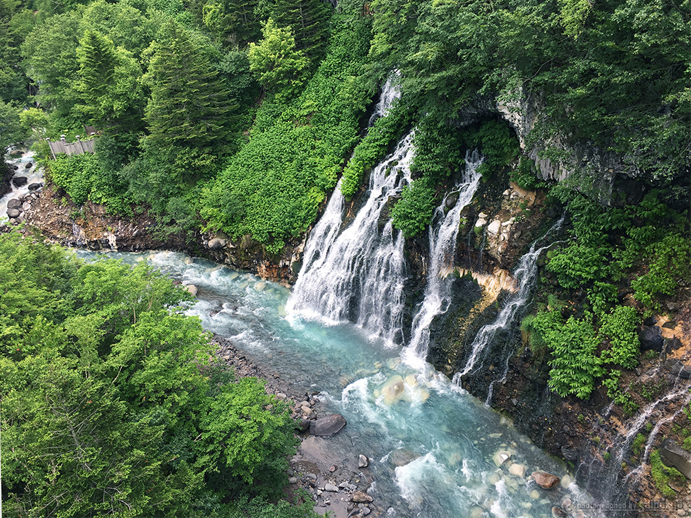 6月の北海道旅行に！美瑛（びえい）「白ひげの滝」