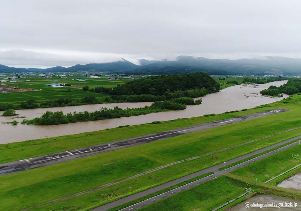 北海道のとうもろこし収穫時期・旬について