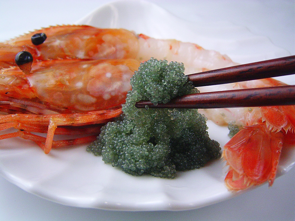 ボタン海老を美味しくお召し上がりいただくために 解凍 食べ方レシピ 北海道へ行こう