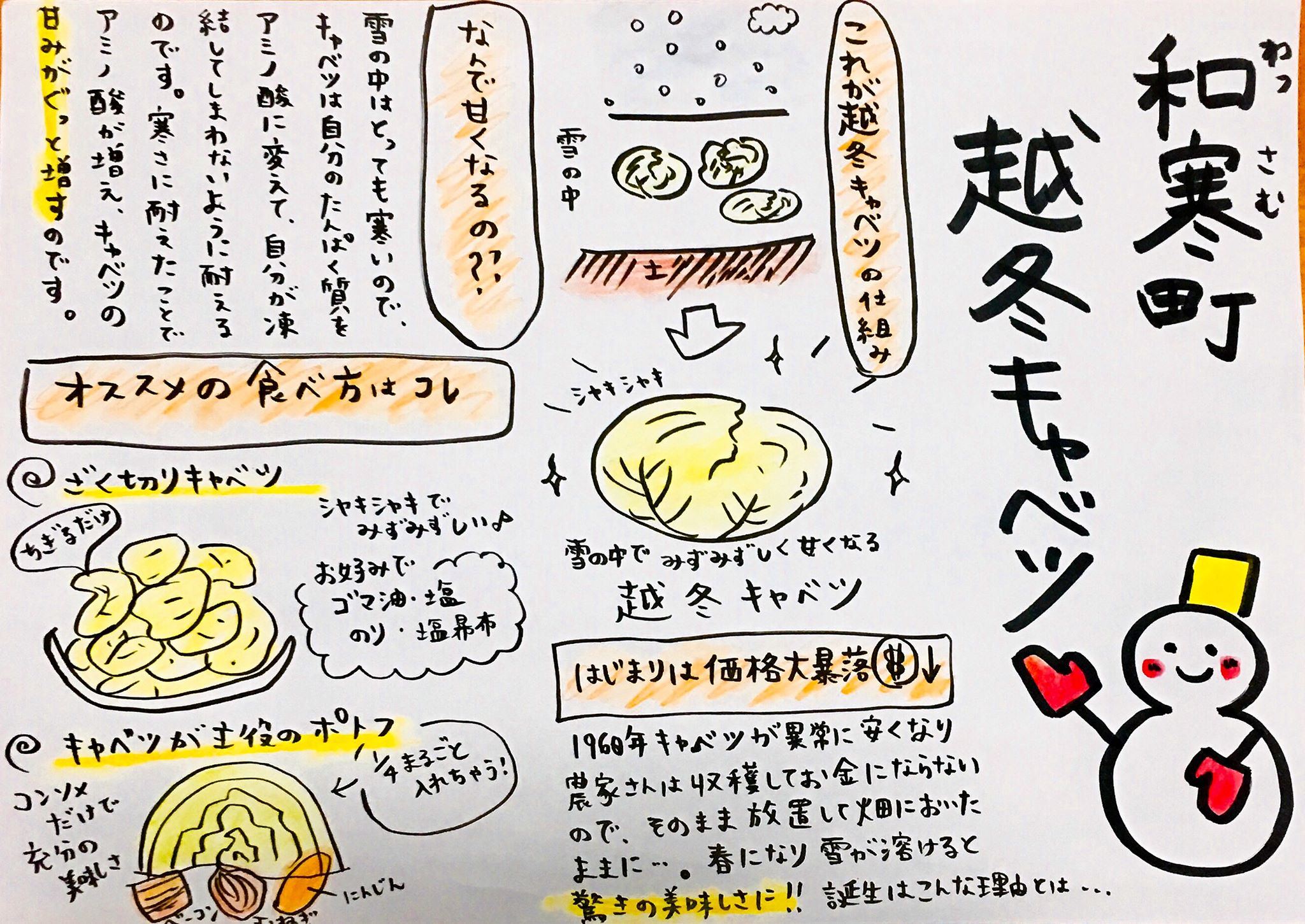 越冬キャベツを美味しくお召し上がりいただくために（保存・食べ方レシピ）