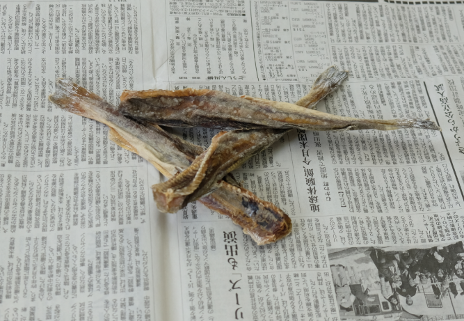 北海道民なら知っている カンカイ 剥き方 食べ方レシピ 北海道へ行こう