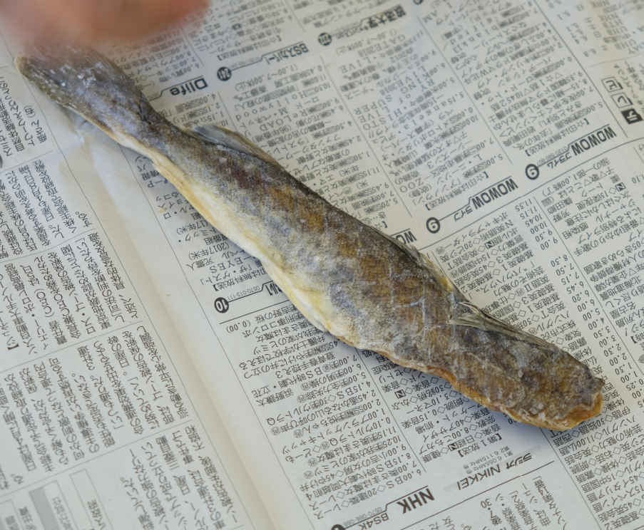 北海道民なら知っている カンカイ 剥き方 食べ方レシピ 北海道へ行こう 北海道民なら知っている カンカイ 剥き方 食べ方レシピ 北海道へ行こう