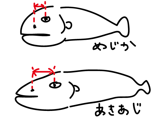 秋が旬 脂のりがよい枝幸のめじか鮭 北海道へ行こう