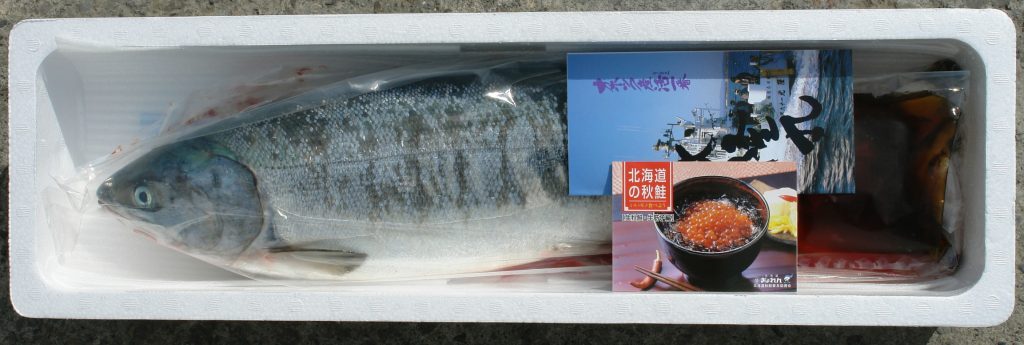 めじか鮭を美味しくお召し上がりいただくために さばき方 保存方法 料理レシピ 北海道へ行こう