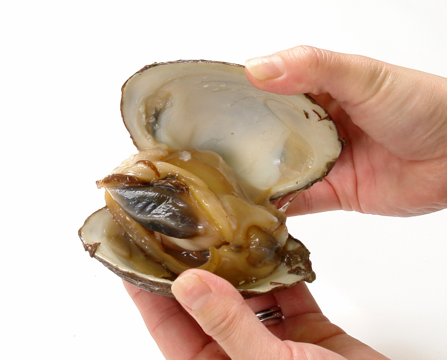 北海道産ホッキ貝を美味しくお召し上がりいただくために 解凍方法 さばき方食べ方レシピ 北海道へ行こう
