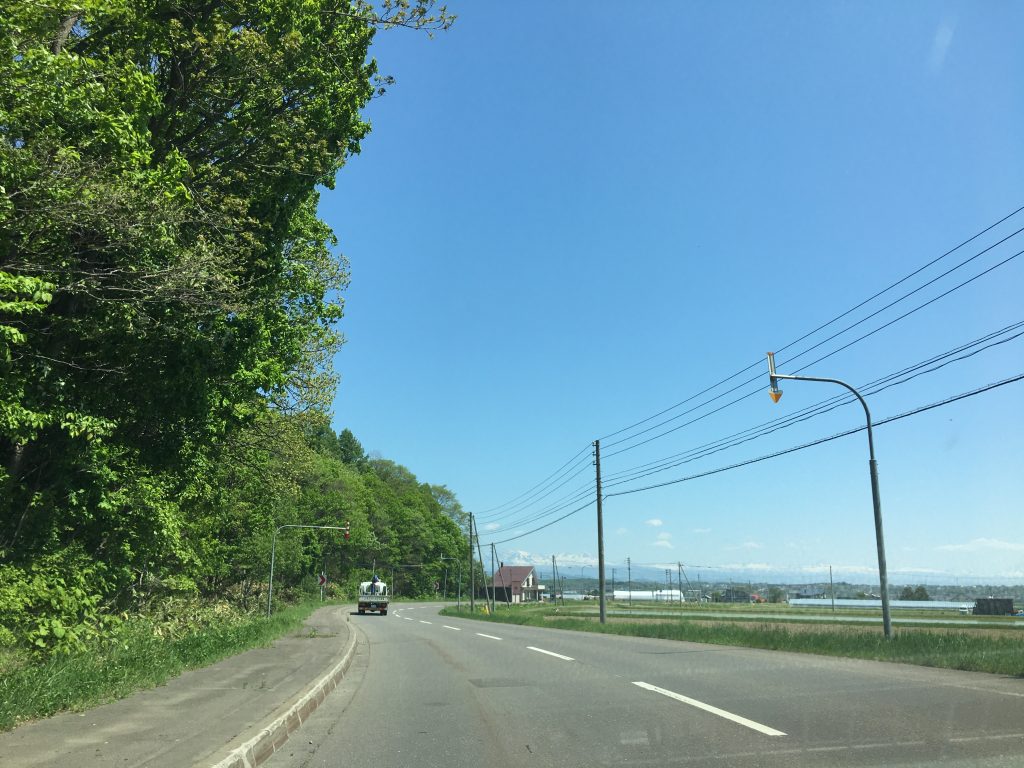 北海道産グリーンアスパラがすくすく育っています。
