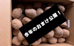 2025年！今年も美味しい“きたあかり”が出来ました！