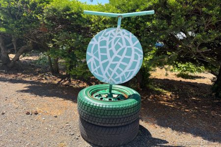 2026年！『富良野メロン』の様子をお届け🍈(^O^)