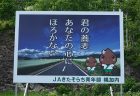 2026年きたあかり　生育日記始まります。