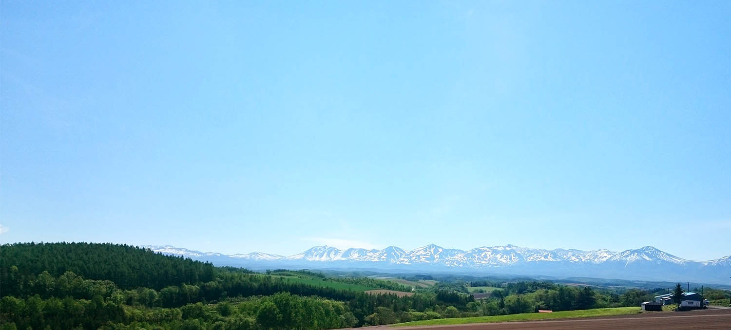 Header Image
